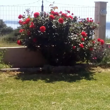 Panagiotis Anna View *